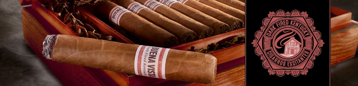 alle Buena Vista Dark Fired Kentucky Zigarren online bestellen