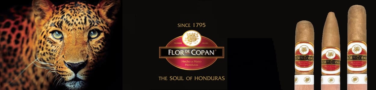 Flor de Copan Linea Clasica Zigarren online kaufen