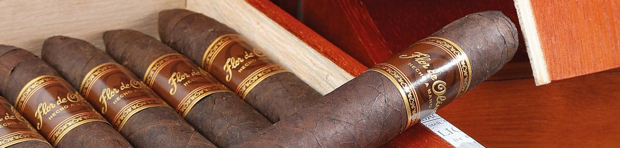 Flor de Oliva Zigarren aus Nicaragua online kaufen