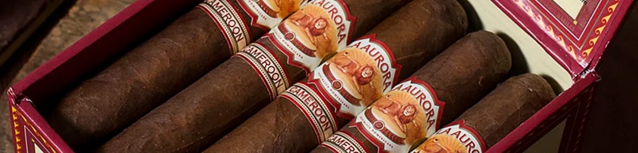 La Aurora 1903 Cameroon Zigarren online kaufen
