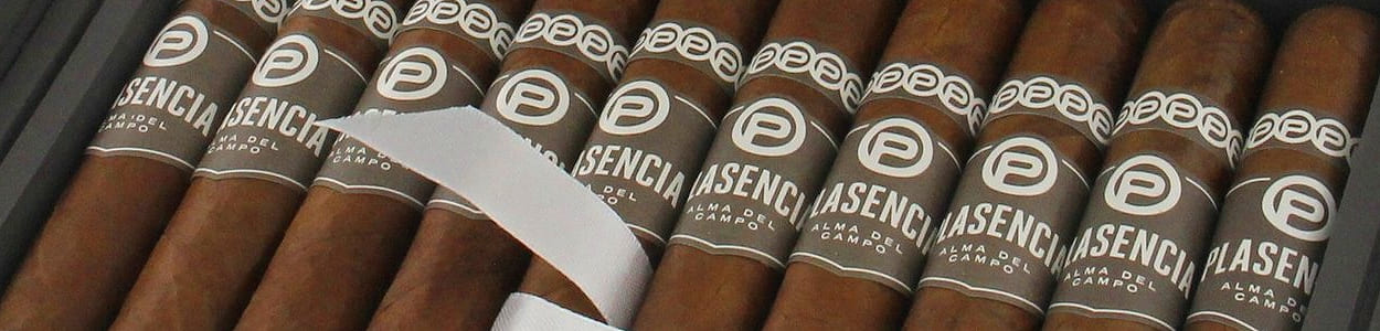 Alle Plasencia Alma del Campo Zigarren online einzeln kaufen