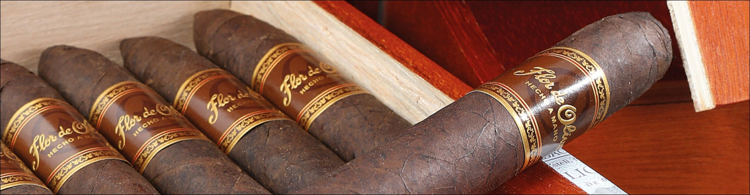 Flor de Oliva Zigarren online kaufen | ZigarrenKiosk