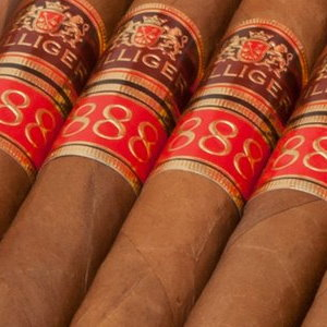 Villiger 1888