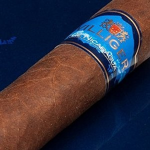 Villiger de Nicaragua