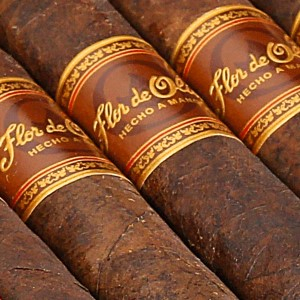 Flor de Oliva Maduro