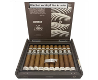Plasencia Alma del Campo Tribu Robusto