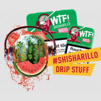 WTF! Shisharillo Zigarillos Mois