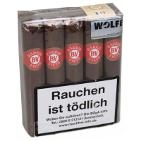 Barrio Viejo Robusto (5x52)