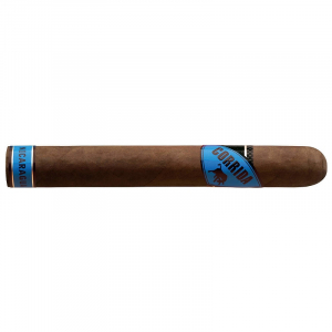 Corrida Nicaragua Toro+