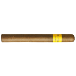 Montosa Amarillo Churchill